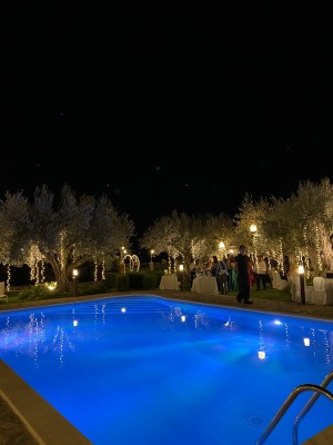 VILLA PALAGONIA