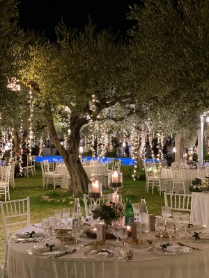 VILLA PALAGONIA