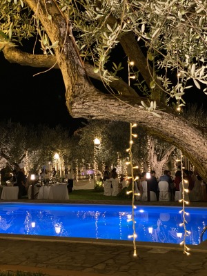 VILLA PALAGONIA