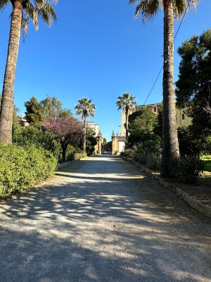 TEMPIO DI SELINUNTE