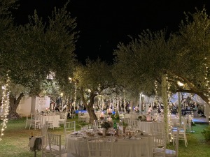 VILLA PALAGONIA