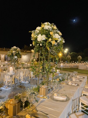 VILLA MALFITANO
