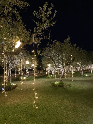 VILLA PALAGONIA